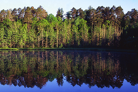 Lake Reflections, Itasca State Park, MN